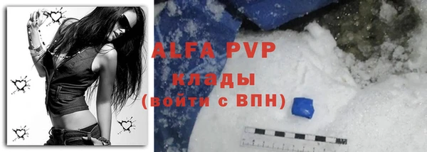 дживик Арсеньев