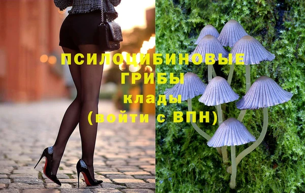 винт Армянск