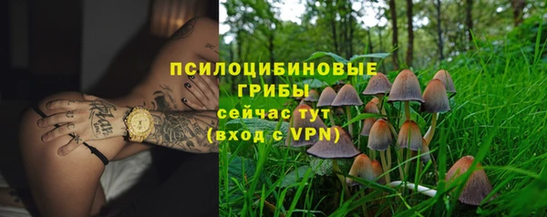 дживик Арсеньев
